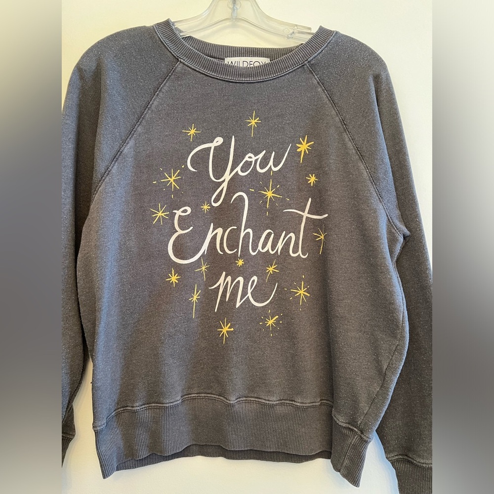 WILDFOX You Enchant Me sweatshirt. Size XS